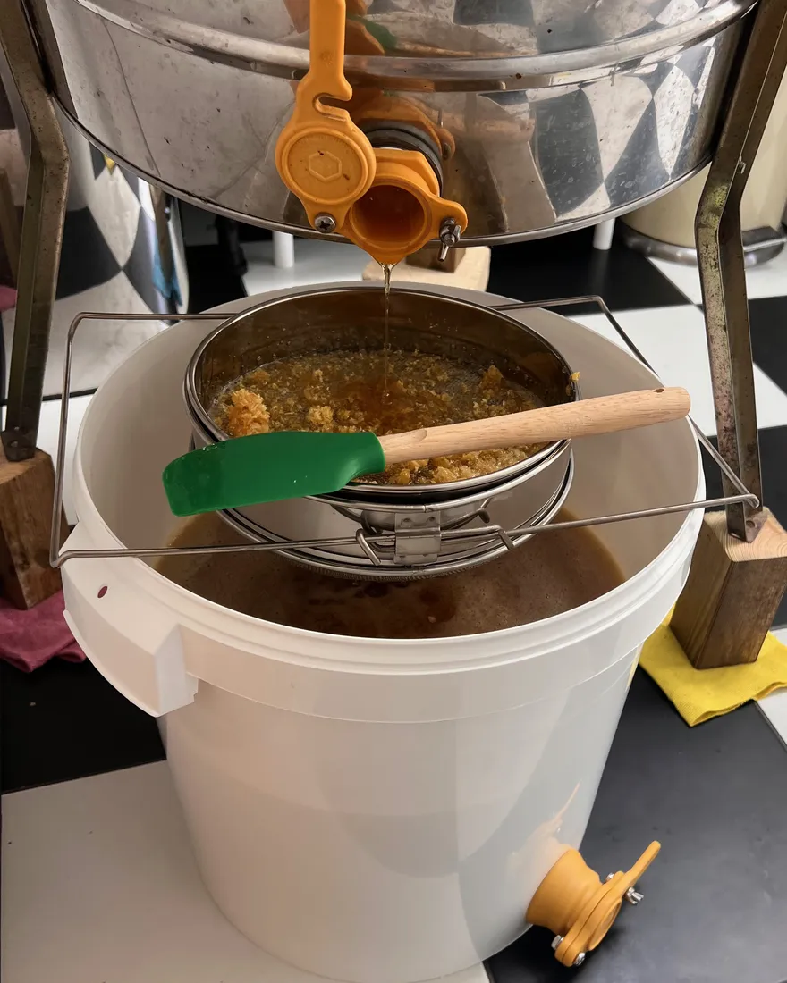 Miel coulant de l’extracteur à travers un tamis, dans un seau de décantation